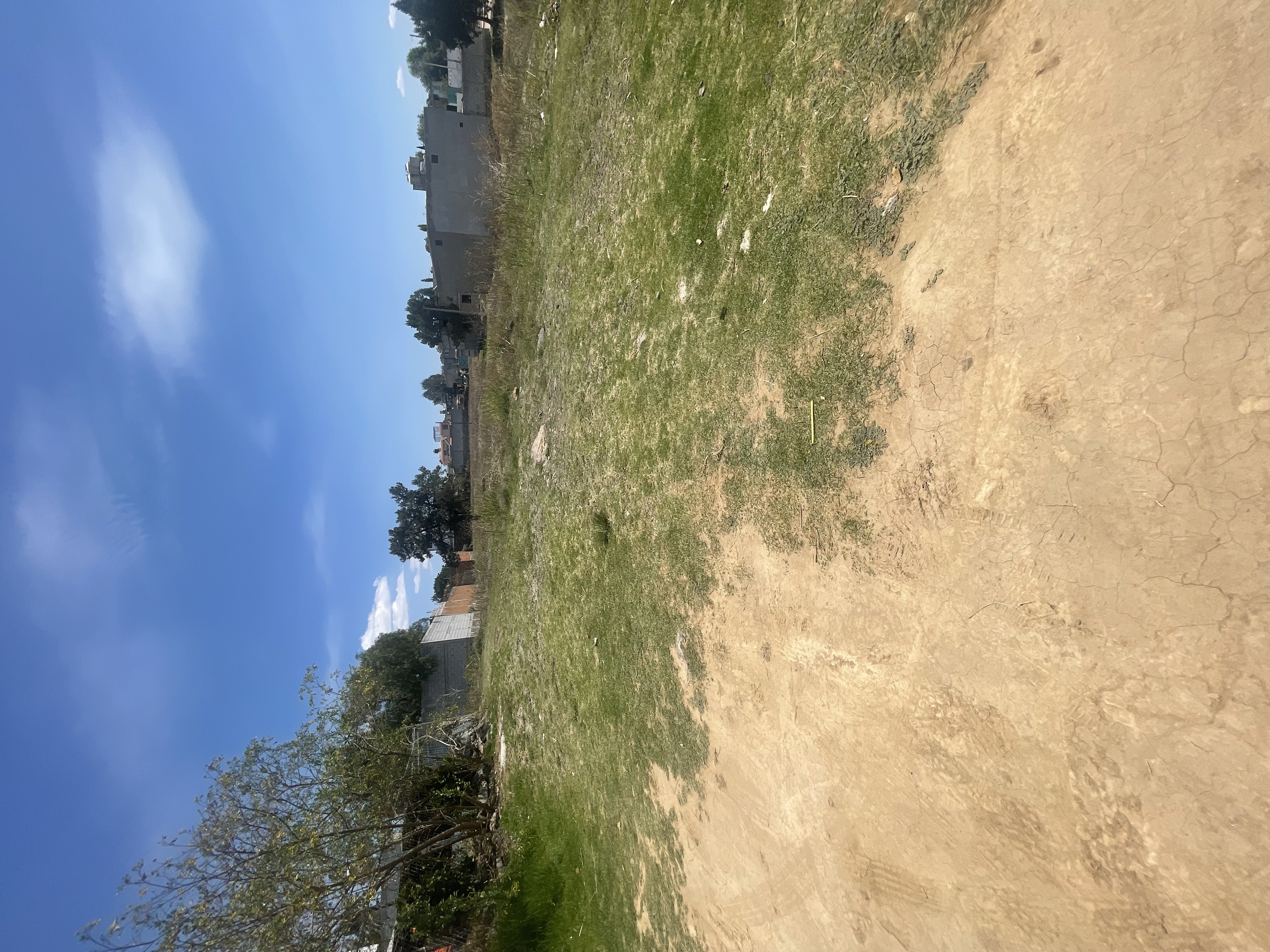 Terreno en Venta en Apizaquito